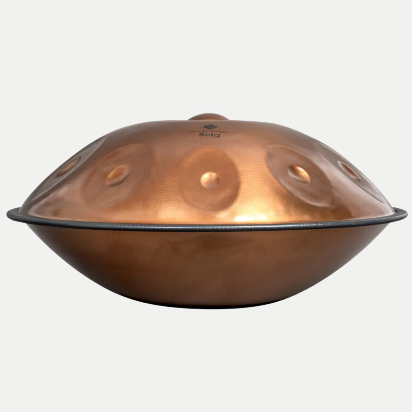 Handpan Sela 320 Harmony D Kurd 10 Phoenix Steel 440 Hz inkl. Case - Percalada