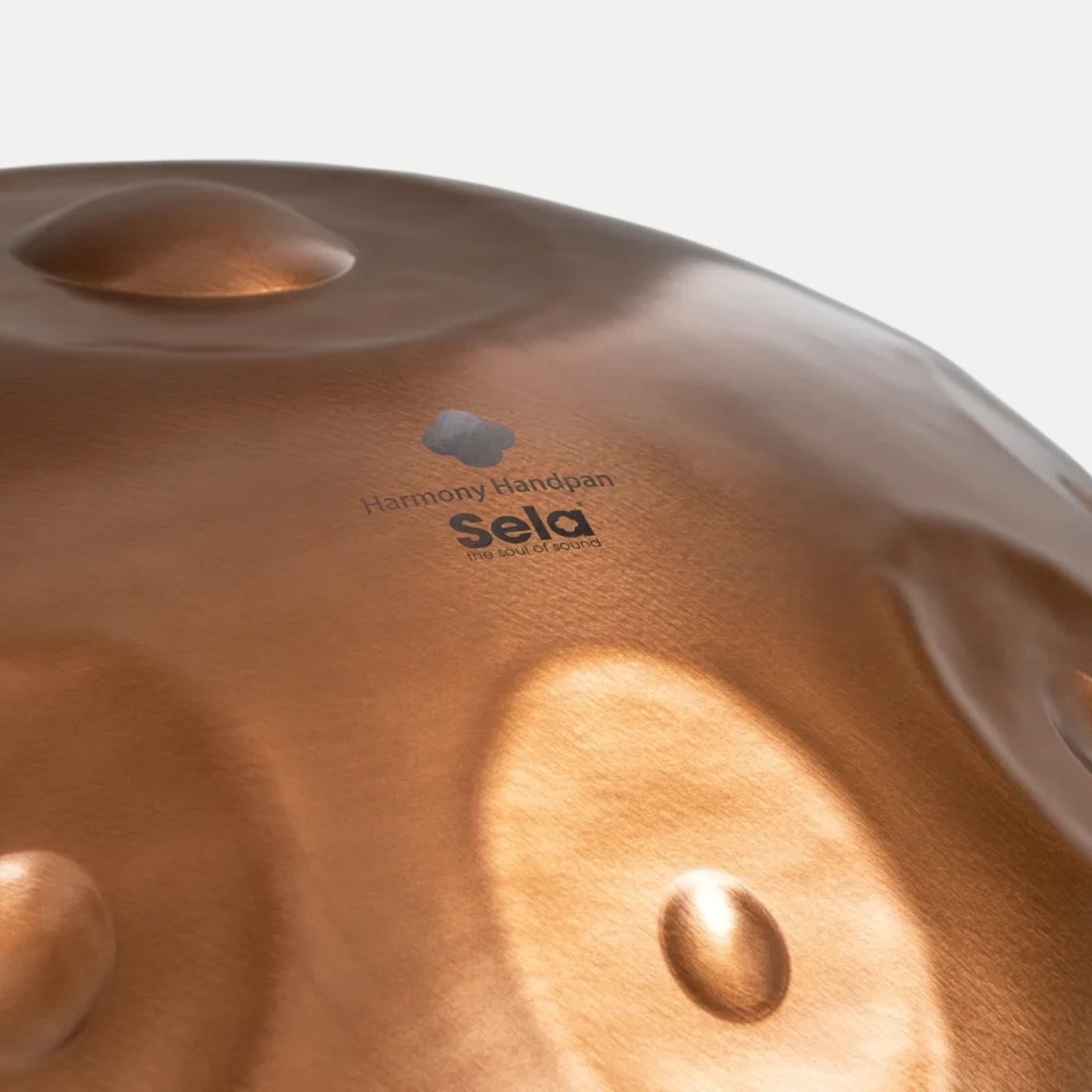 Handpan Sela 320 Harmony D Kurd 10 Phoenix Steel 440 Hz inkl. Case - Percalada