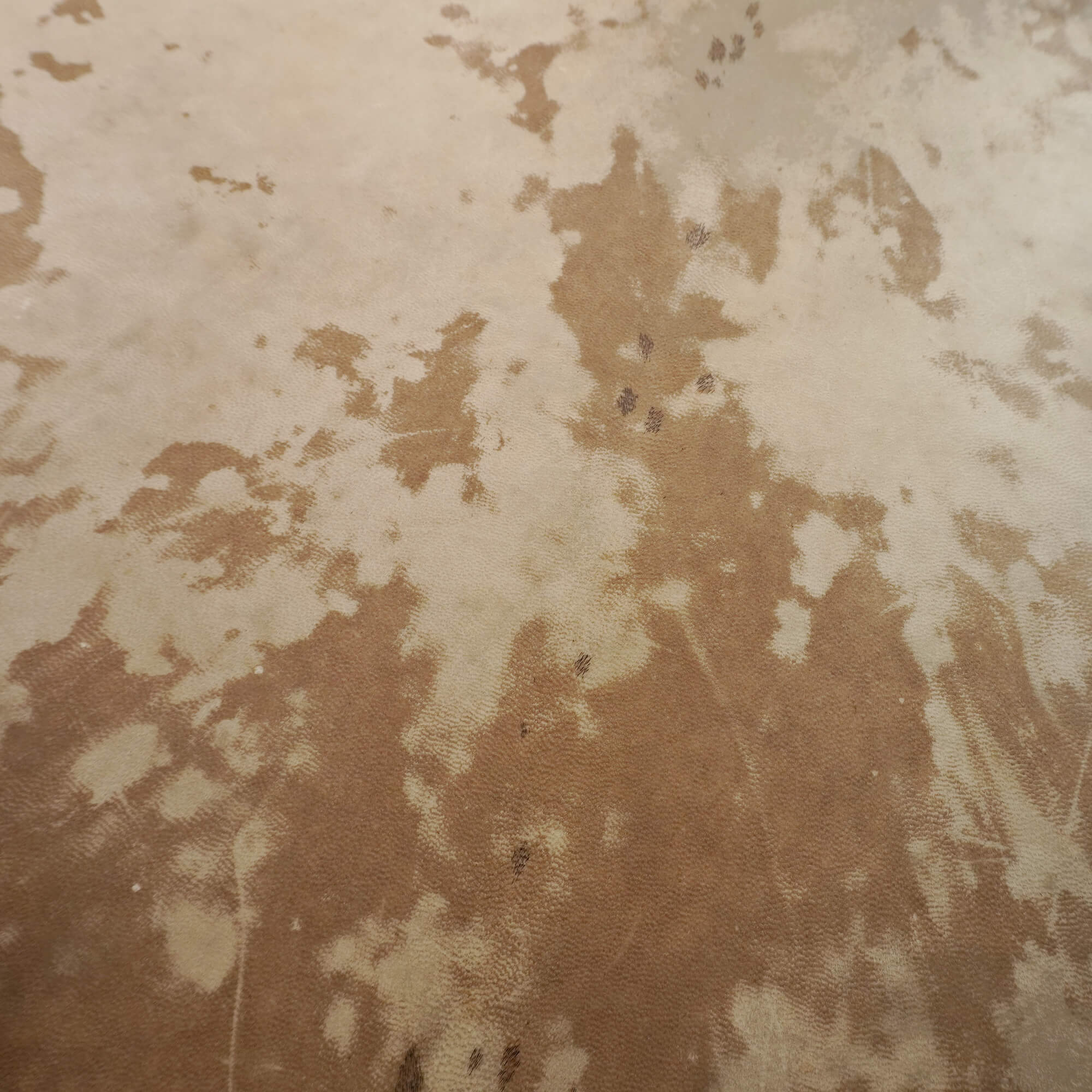 Schamanentrommel Wirkung