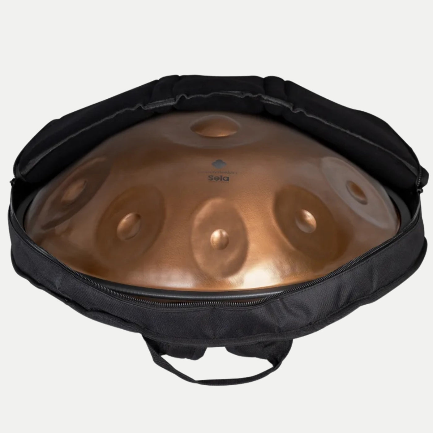 Handpan Sela 320 Harmony D Kurd 10 Phoenix Steel 440 Hz inkl. Case - Percalada