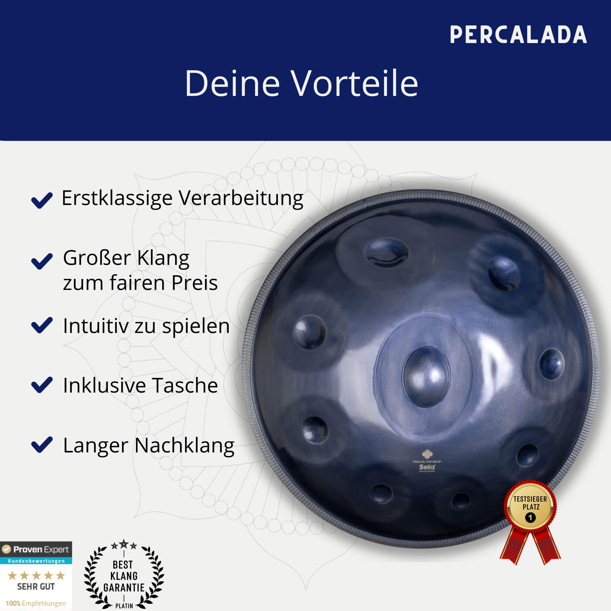 Sela Melody Handpan D Kurd SE220
