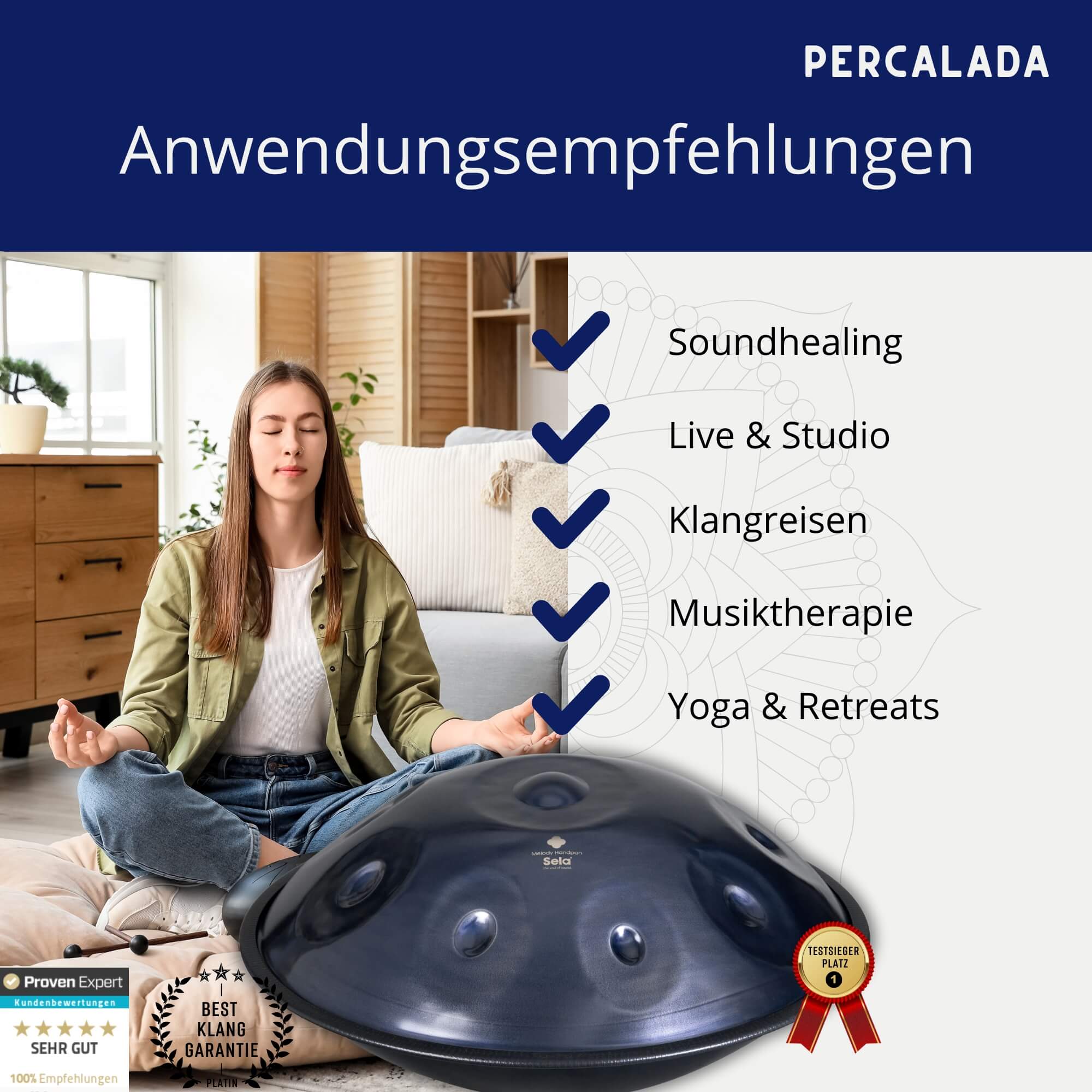 Sela Melody Handpan D Kurd SE220