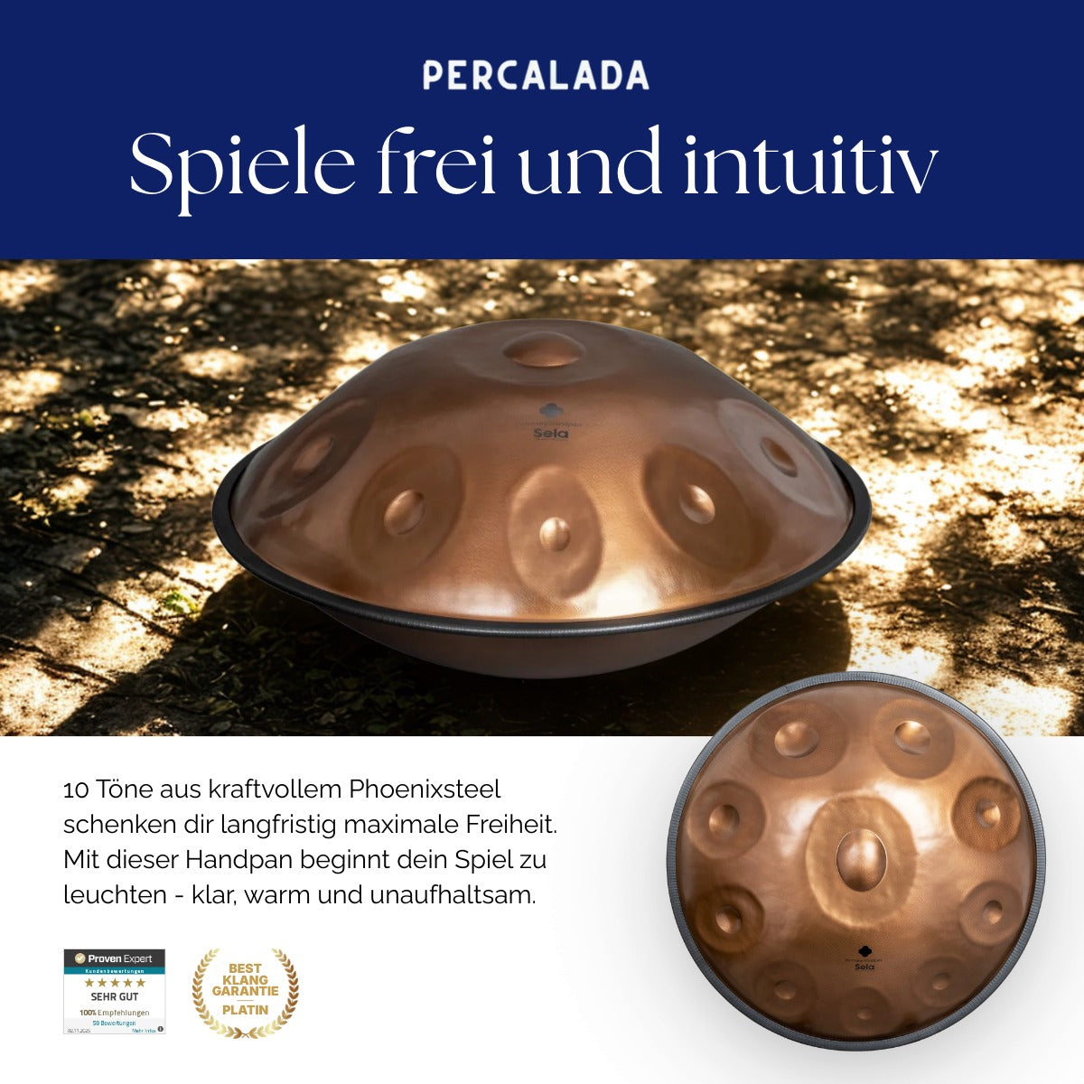 Sela Handpan 320 Harmony D Kurd 10 Phoenix Steel 440 Hz inkl. Case
