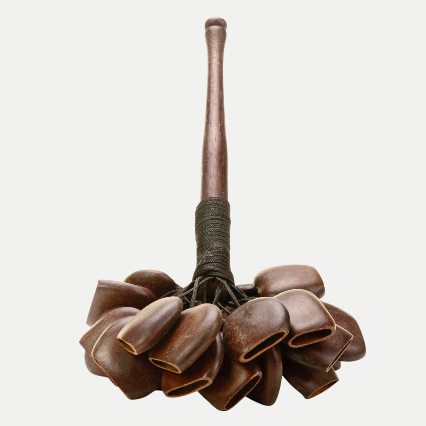 Shaker aus großen JuJu Nüssen