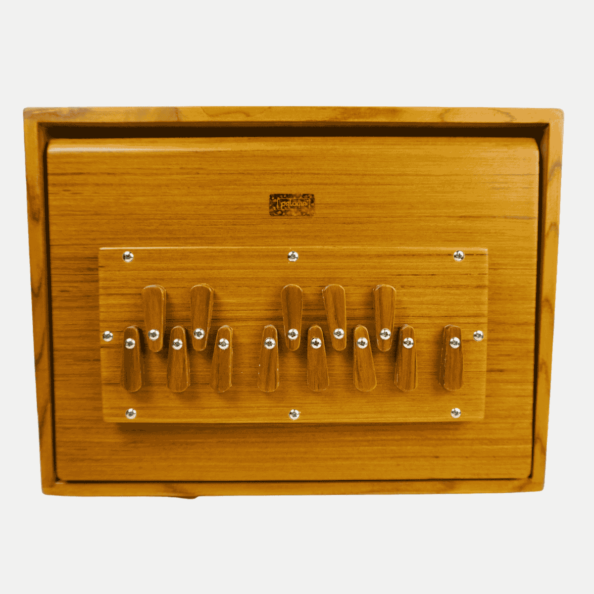 Shrutibox aus edlem Teakholz - Feine Edition, inkl. Tasche