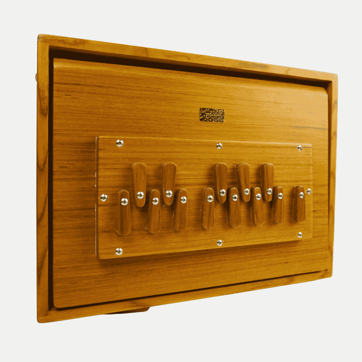 Shrutibox aus edlem Teakholz - Feine Edition, inkl. Tasche