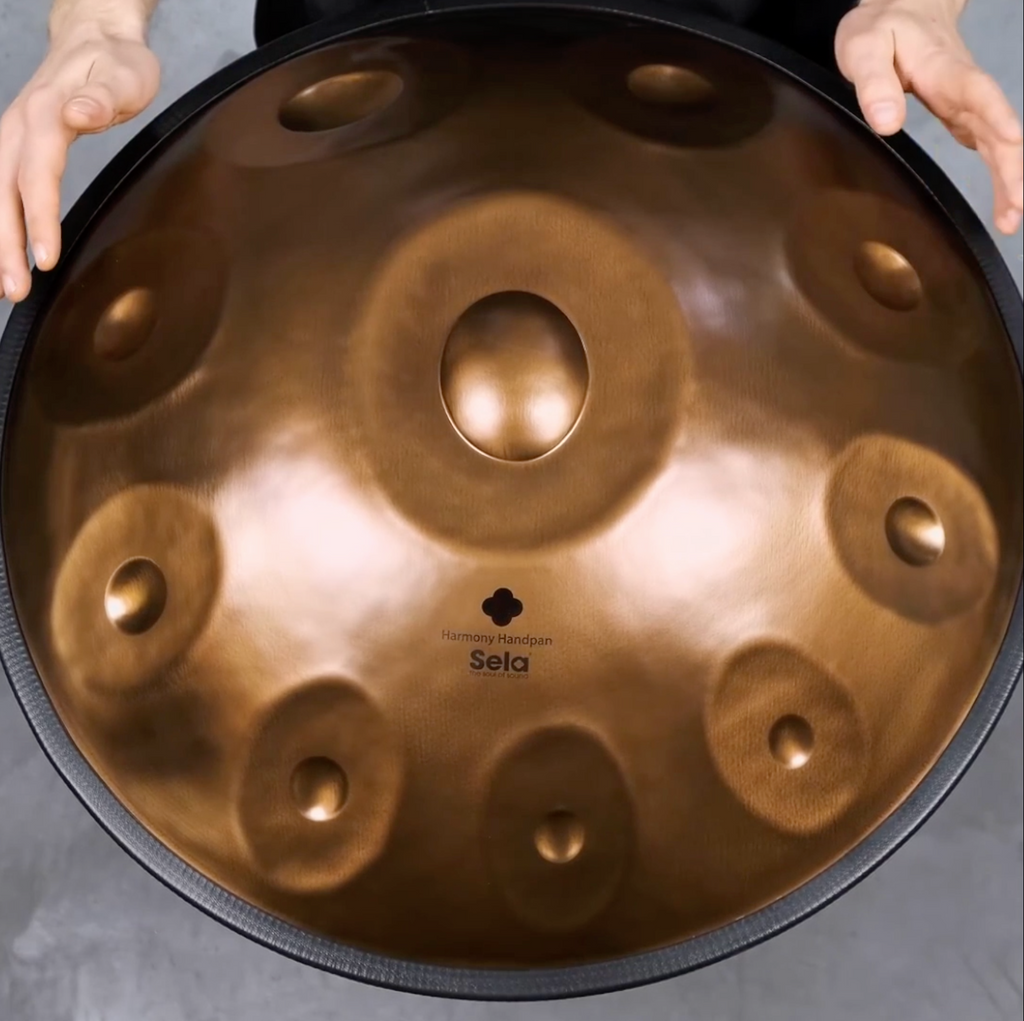 Sela Handpan D Amara – Phoenix Steel 440 Hz mit Case