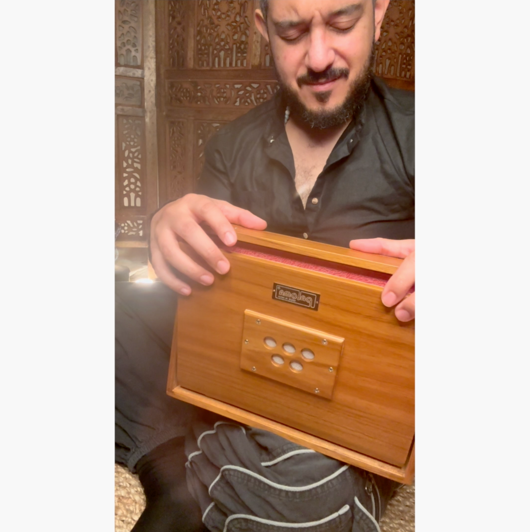 Shruti Instrument kaufen