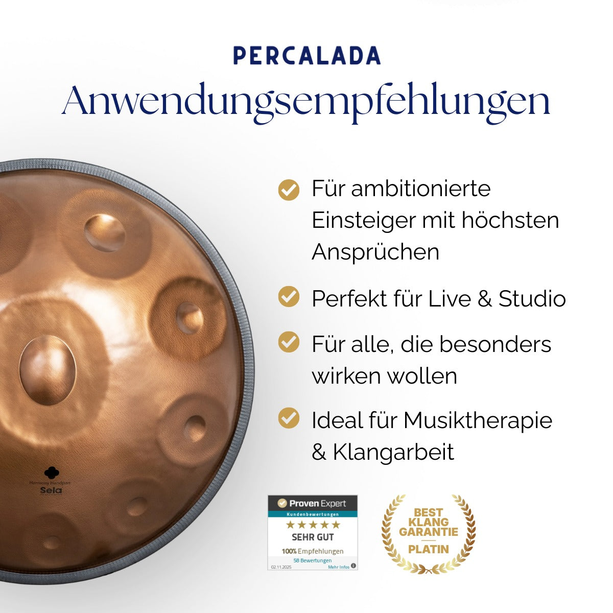 Sela Handpan 321 Harmony D Amara 10 Phoenix Steel 440 Hz inkl. Case